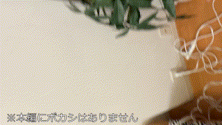 gblfc026【仲良し巨乳/純真Aちゃん＆Mちゃん】 エロGIF 2